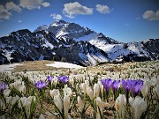 Primavera al Monte Campo, neve al Lago di Pietra Quadra -20magg21